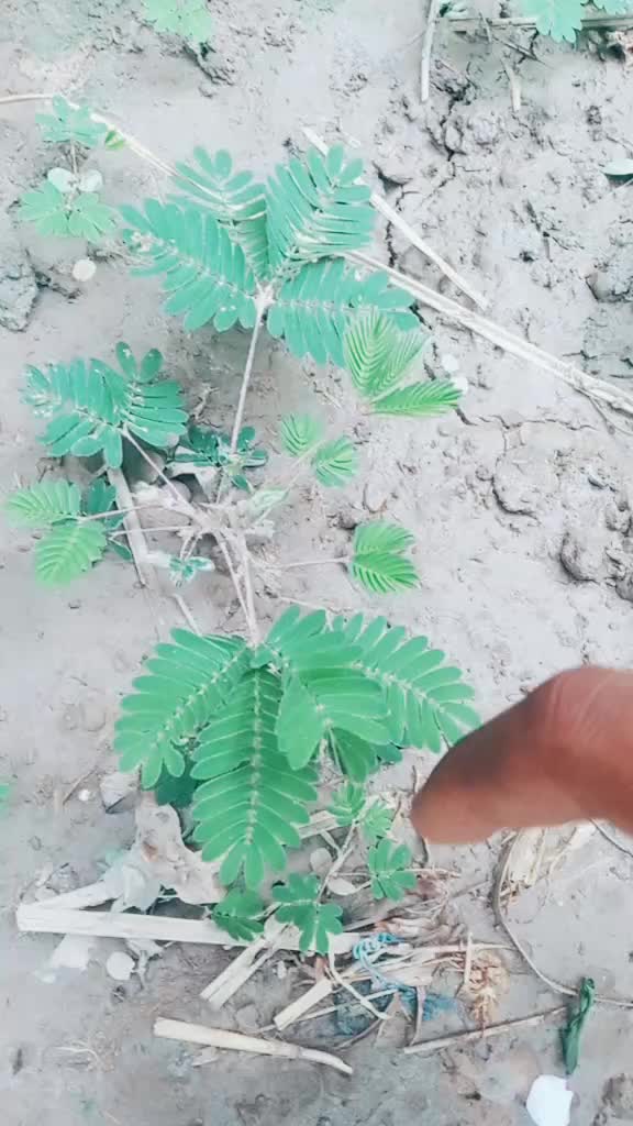 @A_N_K_I_T_1_2_8