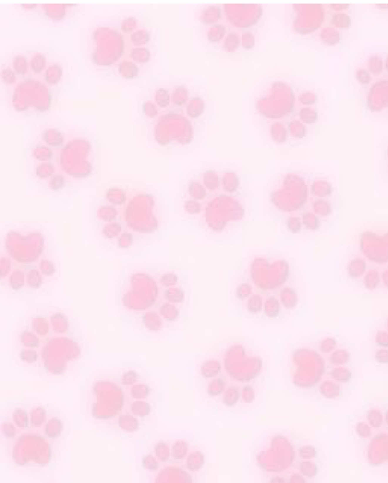 @૮₍ ´ ꒳ `₎ა