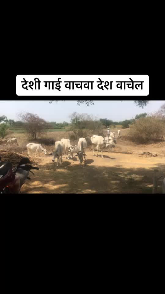 @👑Akshay sonar👑