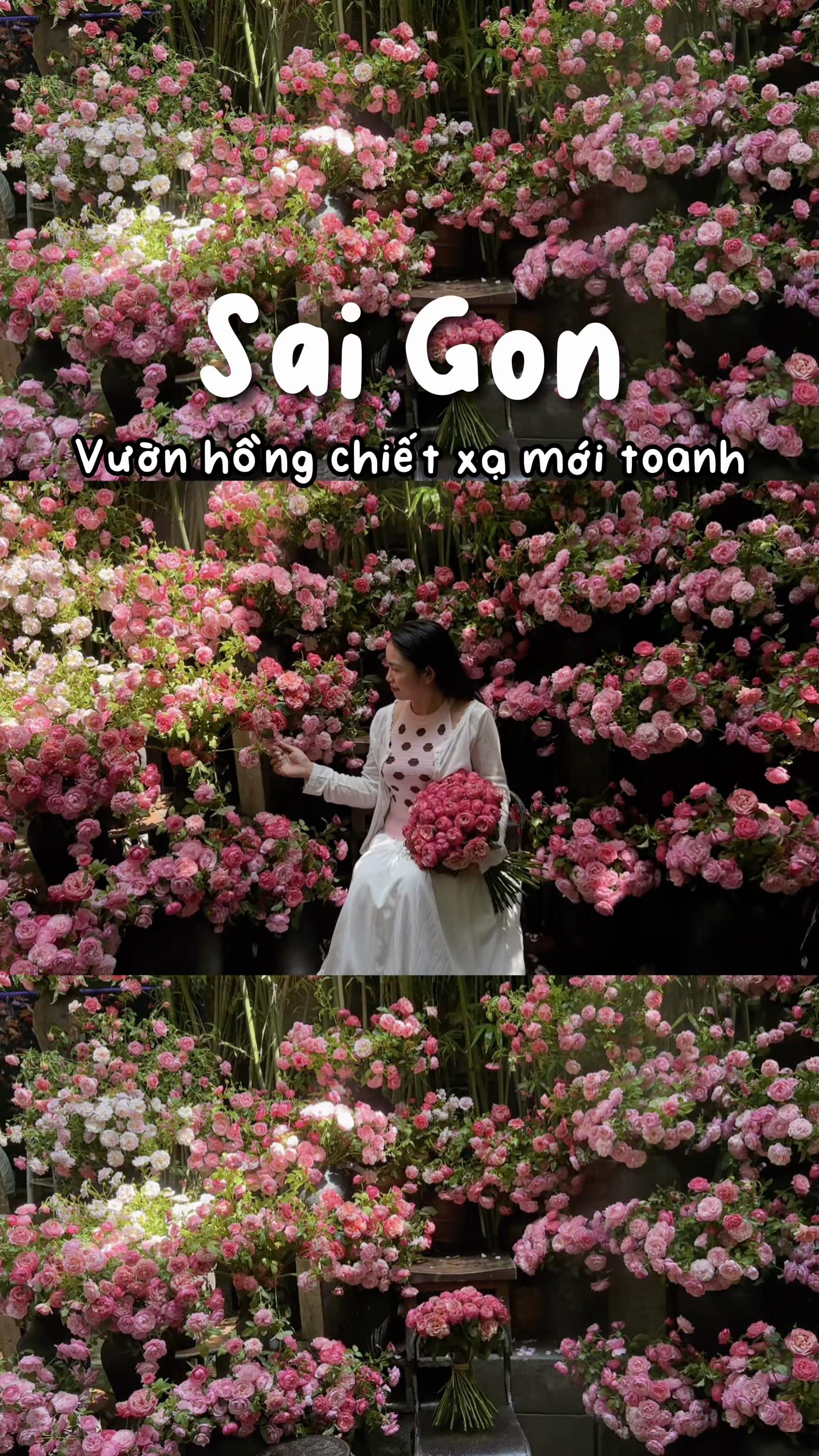 @1 ph&uacute;t S&agrave;i G&ograve;n
