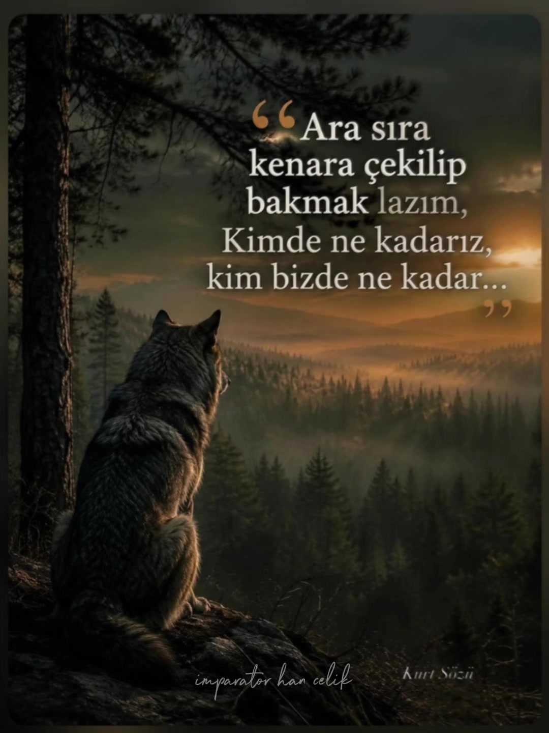 @Sedat Sakin