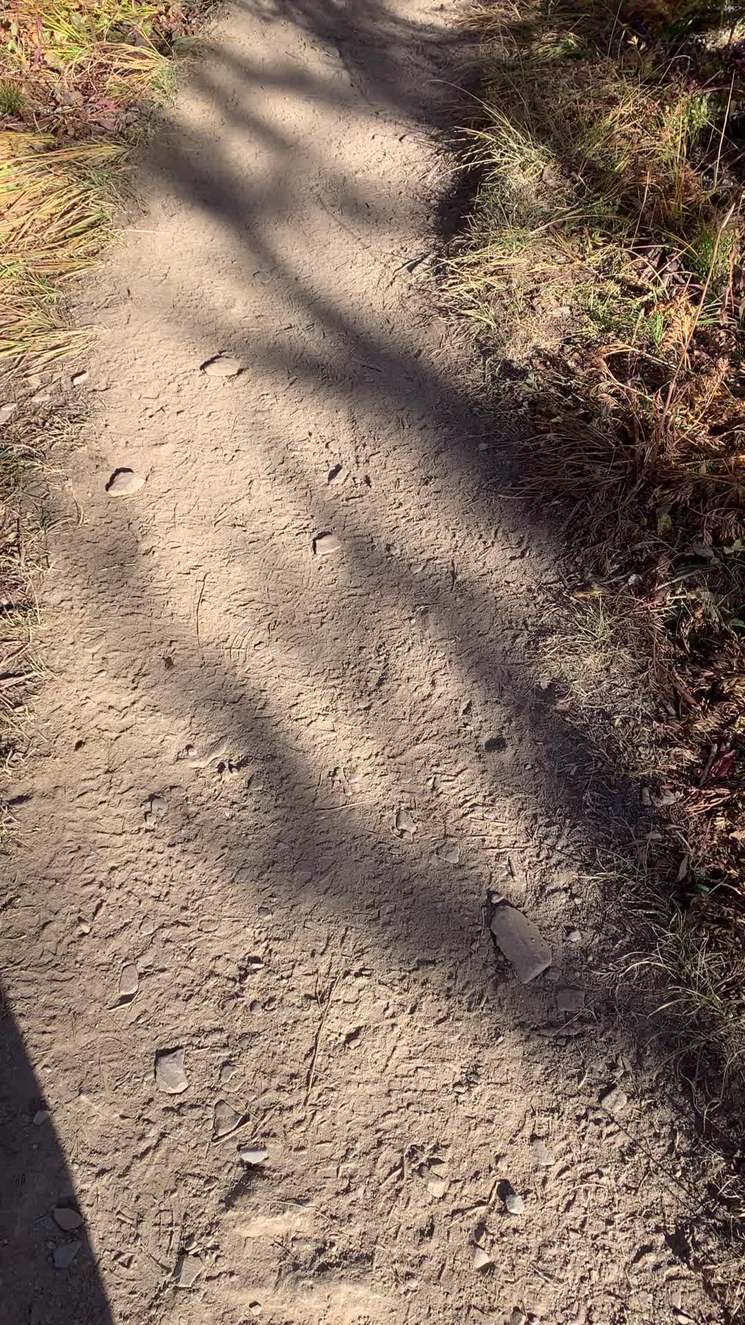 @asrunner0