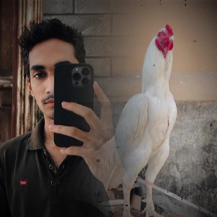@😎𝐌𝐀𝐋𝐈𝐊 𝐇𝐀𝐌𝐀𝐘𝐋🇨🇳