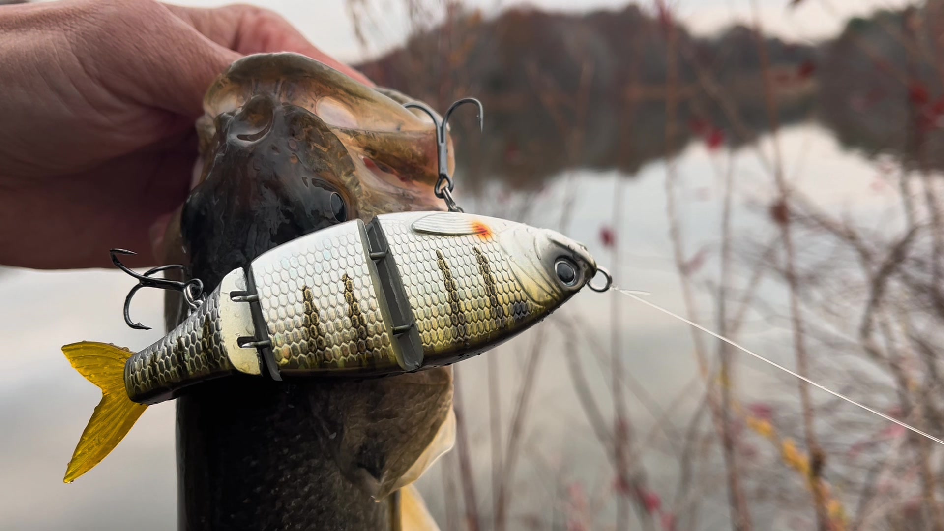 @Bassin Baskie