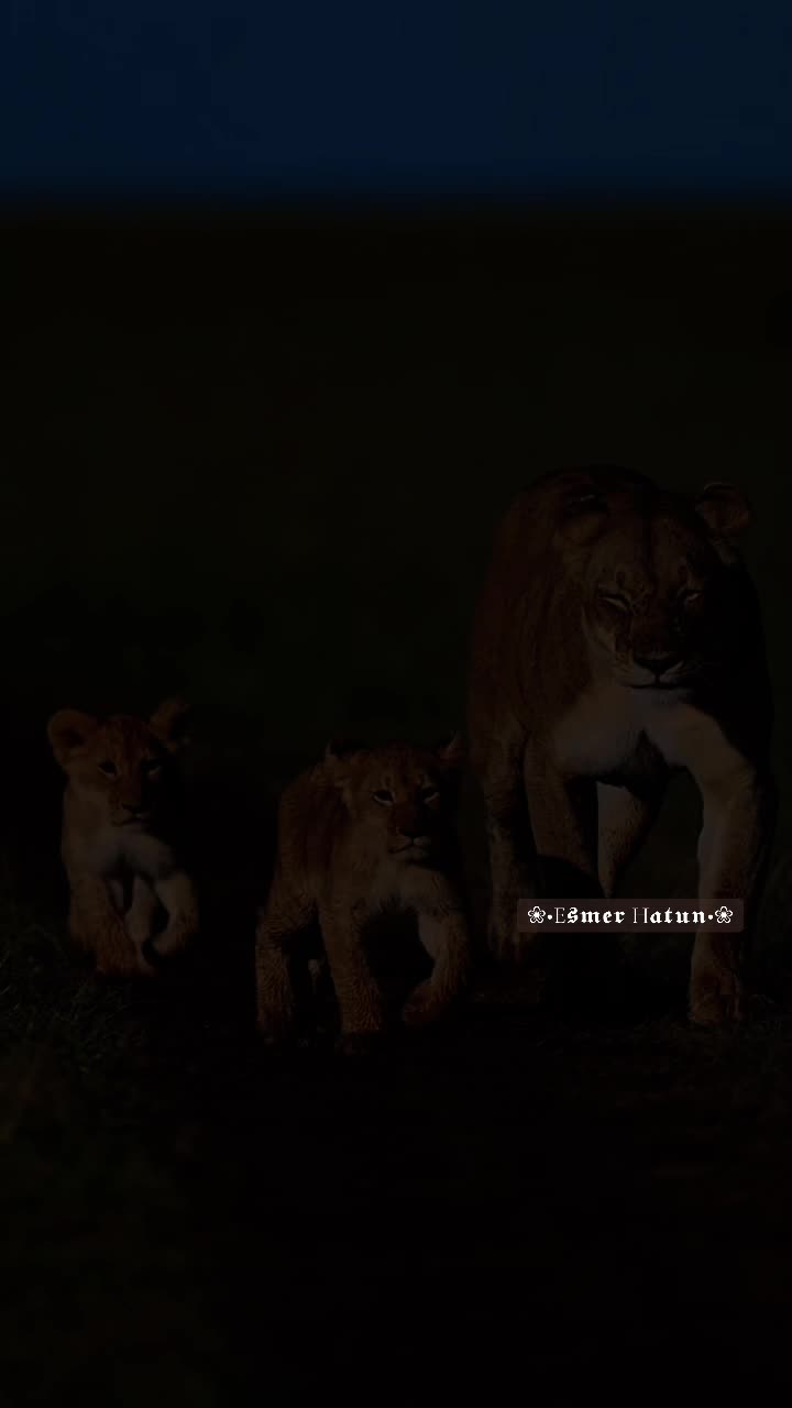 @꧁🇹🇷͜͡✯ ᗴᔕᗰᗴᖇ ᕼᗩ丅ᑌᑎ 🇹🇷͜͡✯꧂
