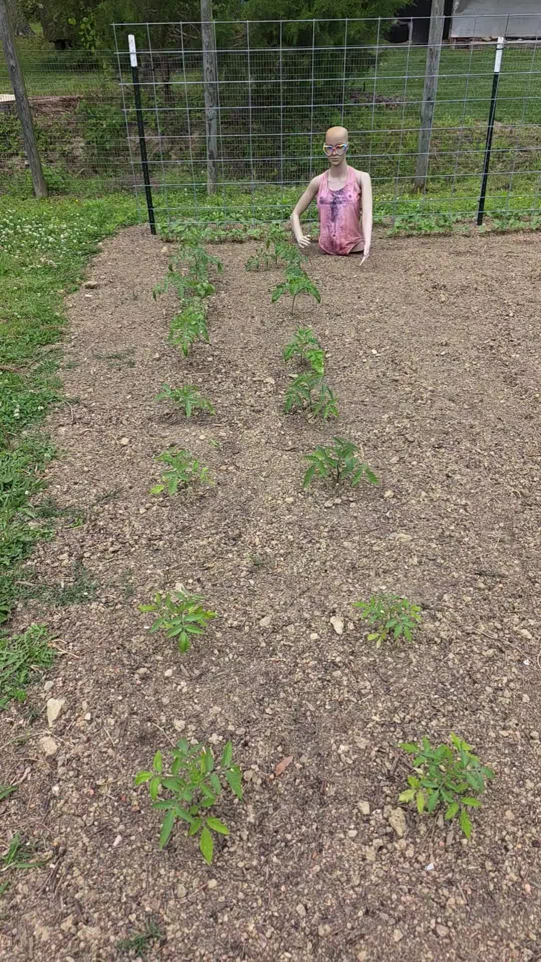 @NakedGardener