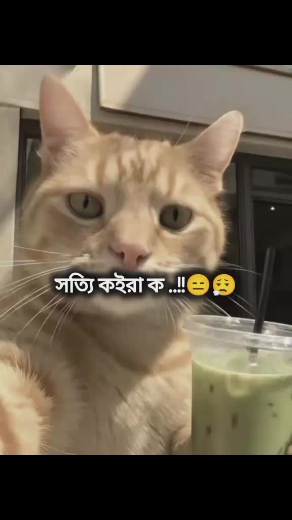 @🥰🥰... ℍ...🥰🥰 ℝ𝕆𝕌𝔽