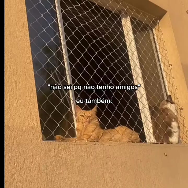 @Manu😼