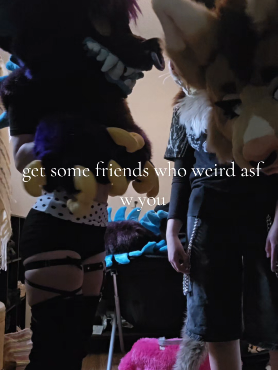@🪲🪼isopawda🪼🪲