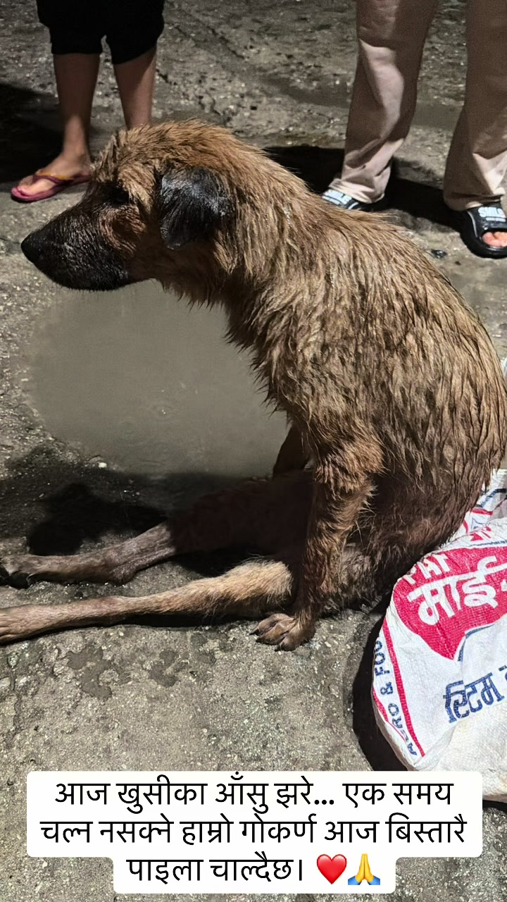 @Srijanathakuri