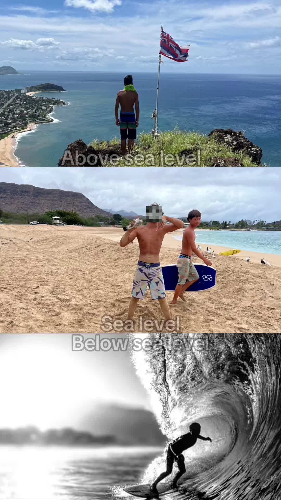 @🦈🦈🦈🌊🌊🌊