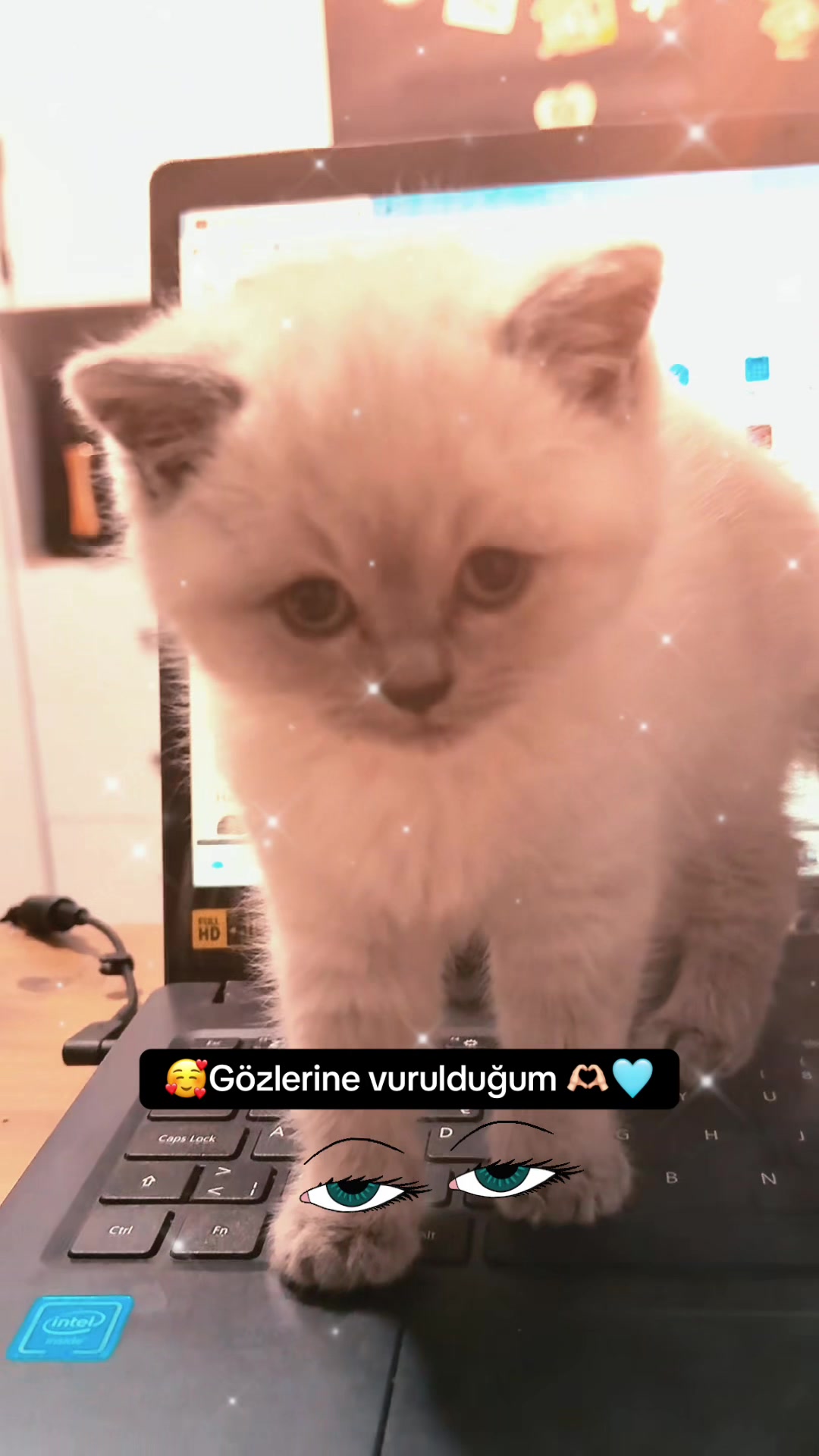 @Sezen damar❤️