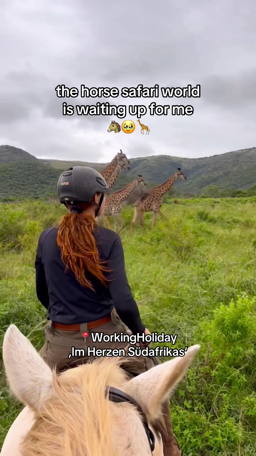 @Hoof & Travel 🐴🌍🐘
