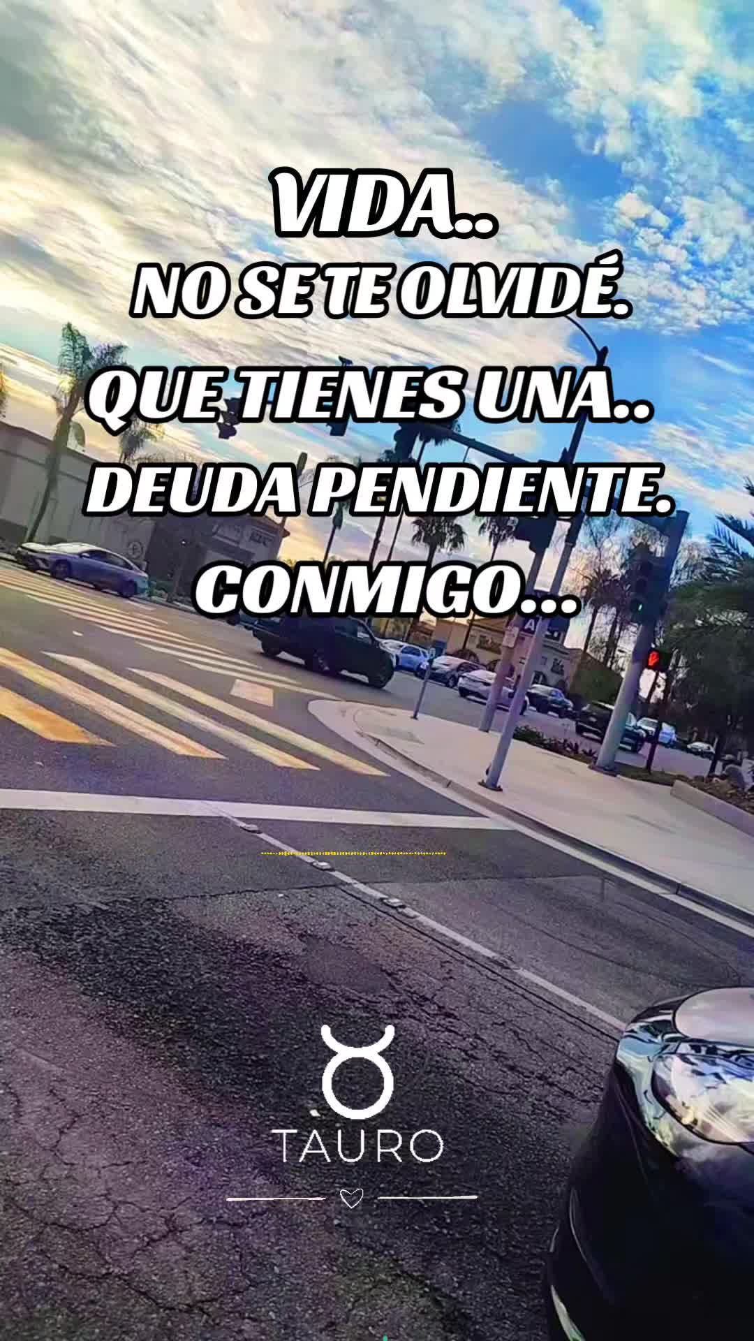@OFELIA🍄🖤❄️TAURO ❄️🖤🍄
