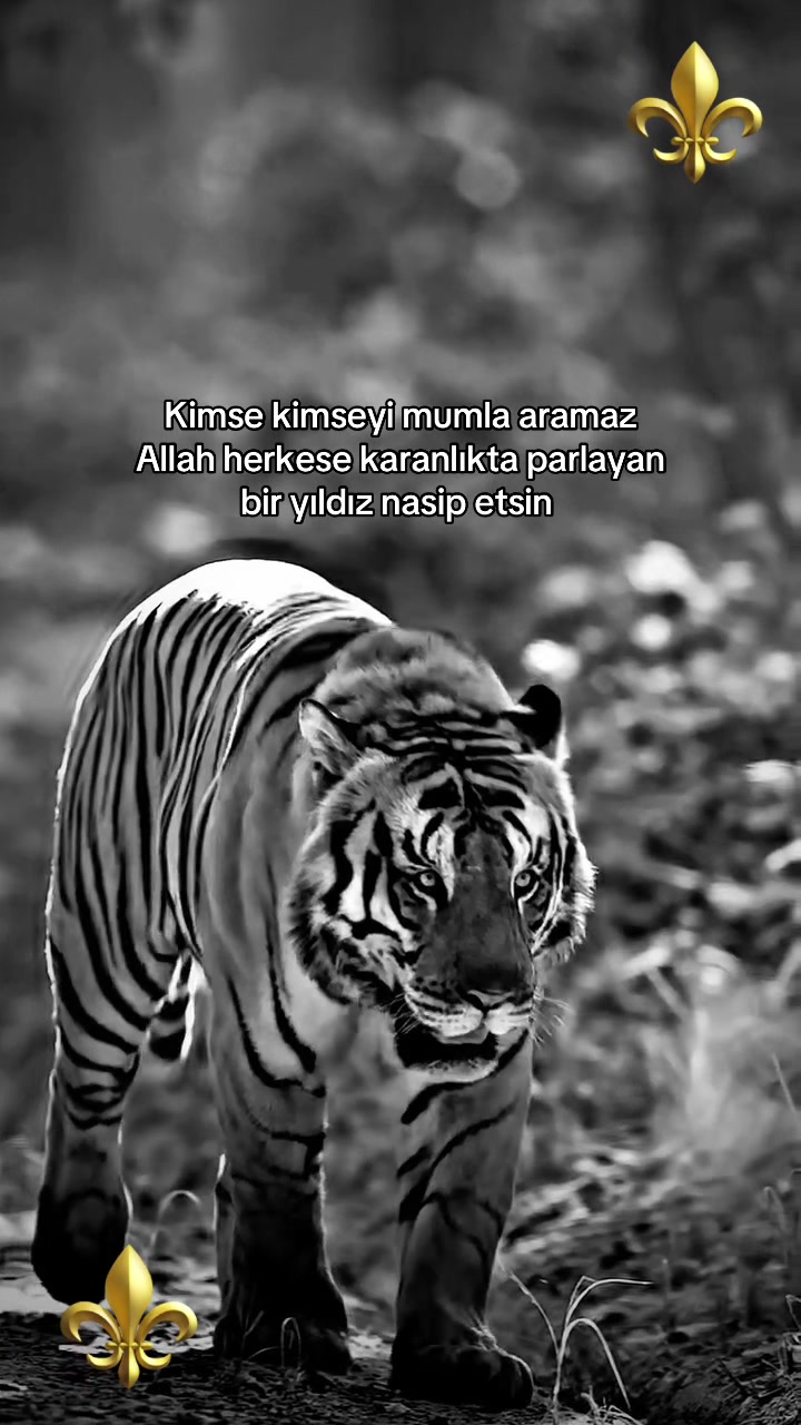 @çılgın 🚴♂️🧿