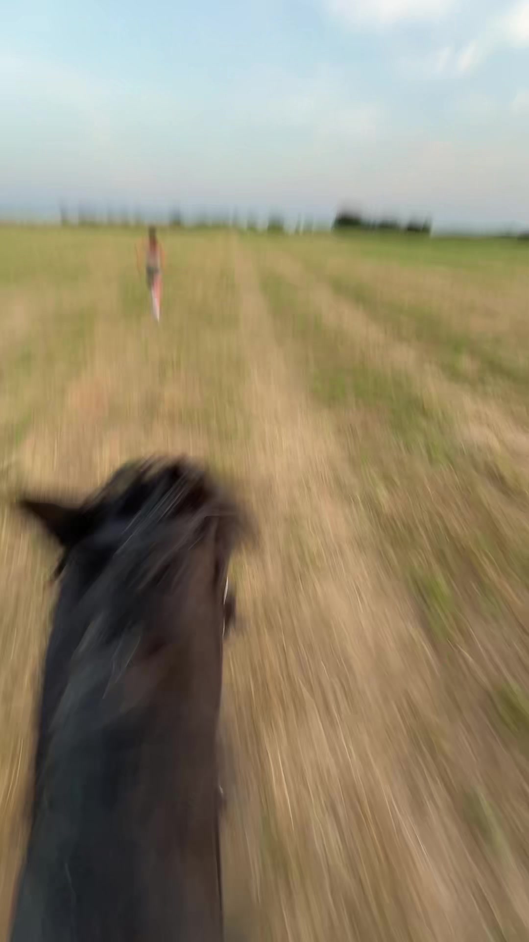 @AAPS_ponys
