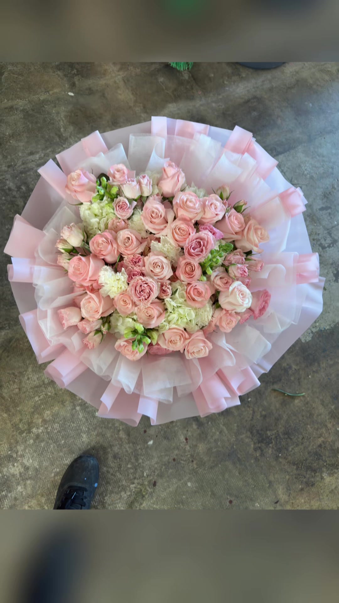 @roses land corp