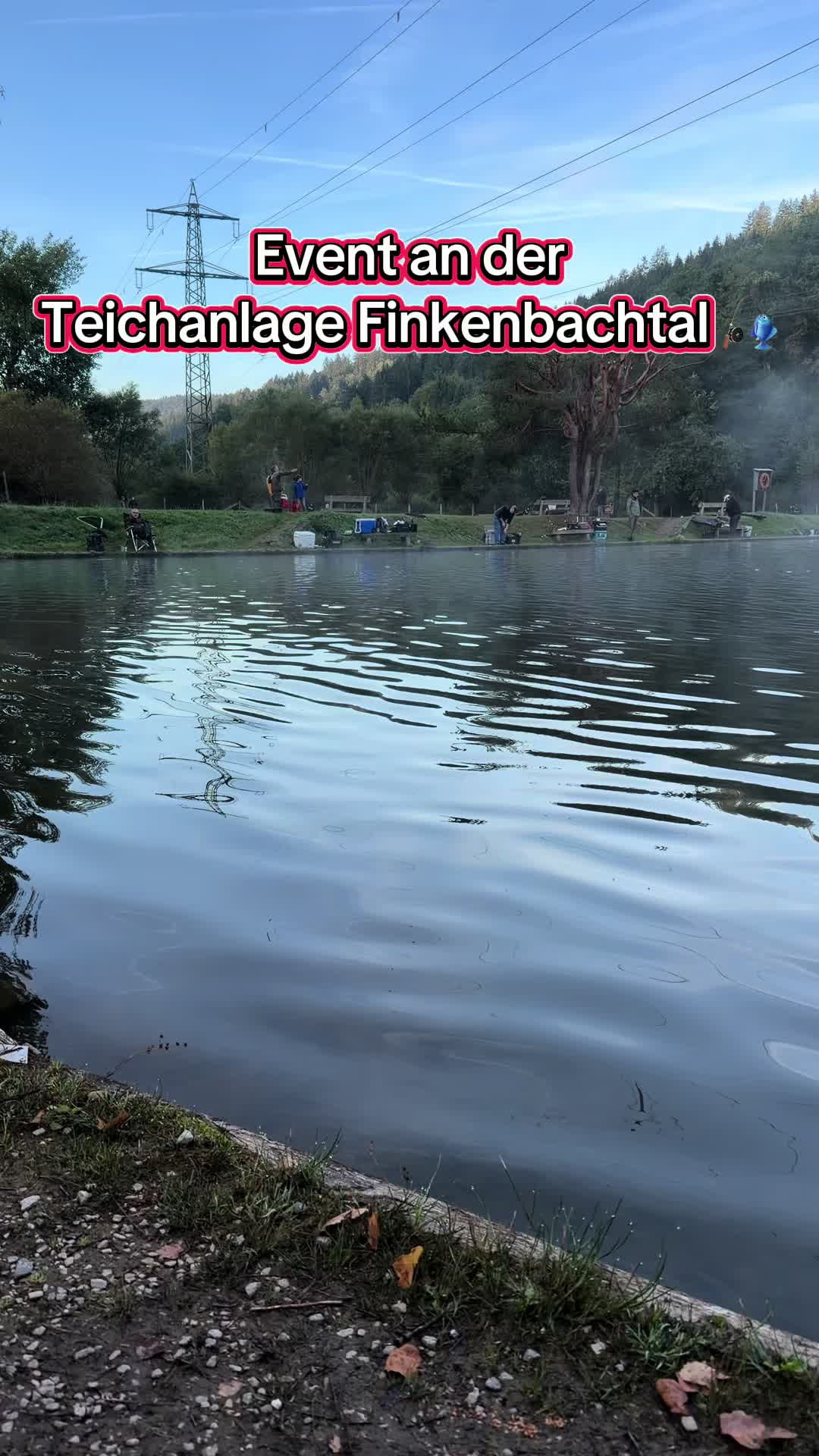 @Fishing_DP