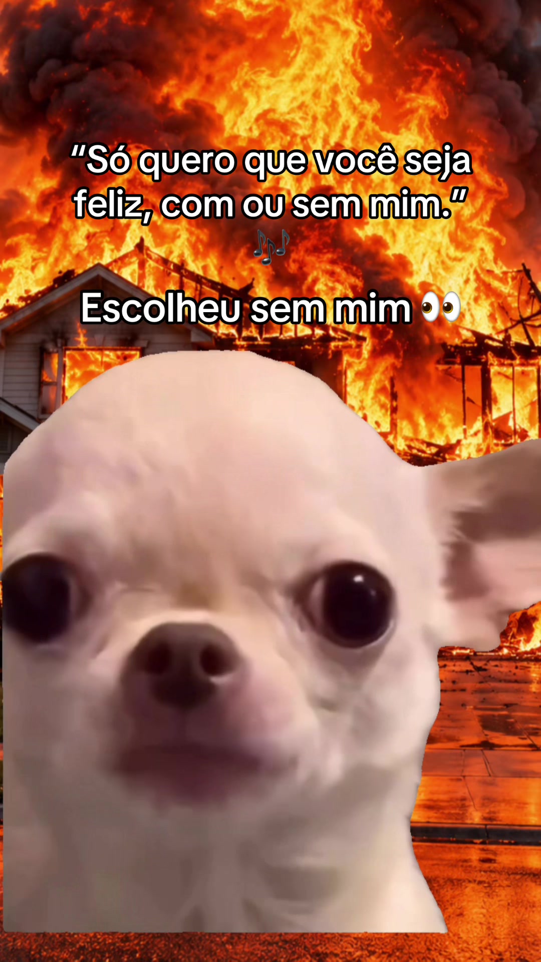@tababadeira