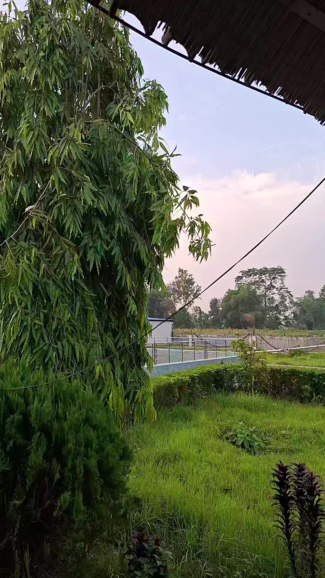 @Neha Joshi
