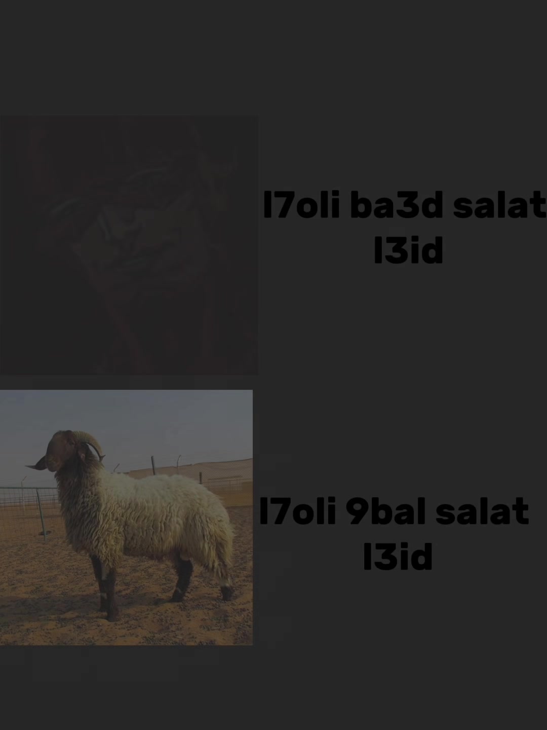 @Ayman