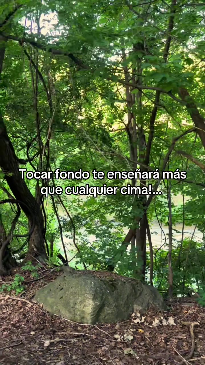 @🌀Yadira Estrada🎙️