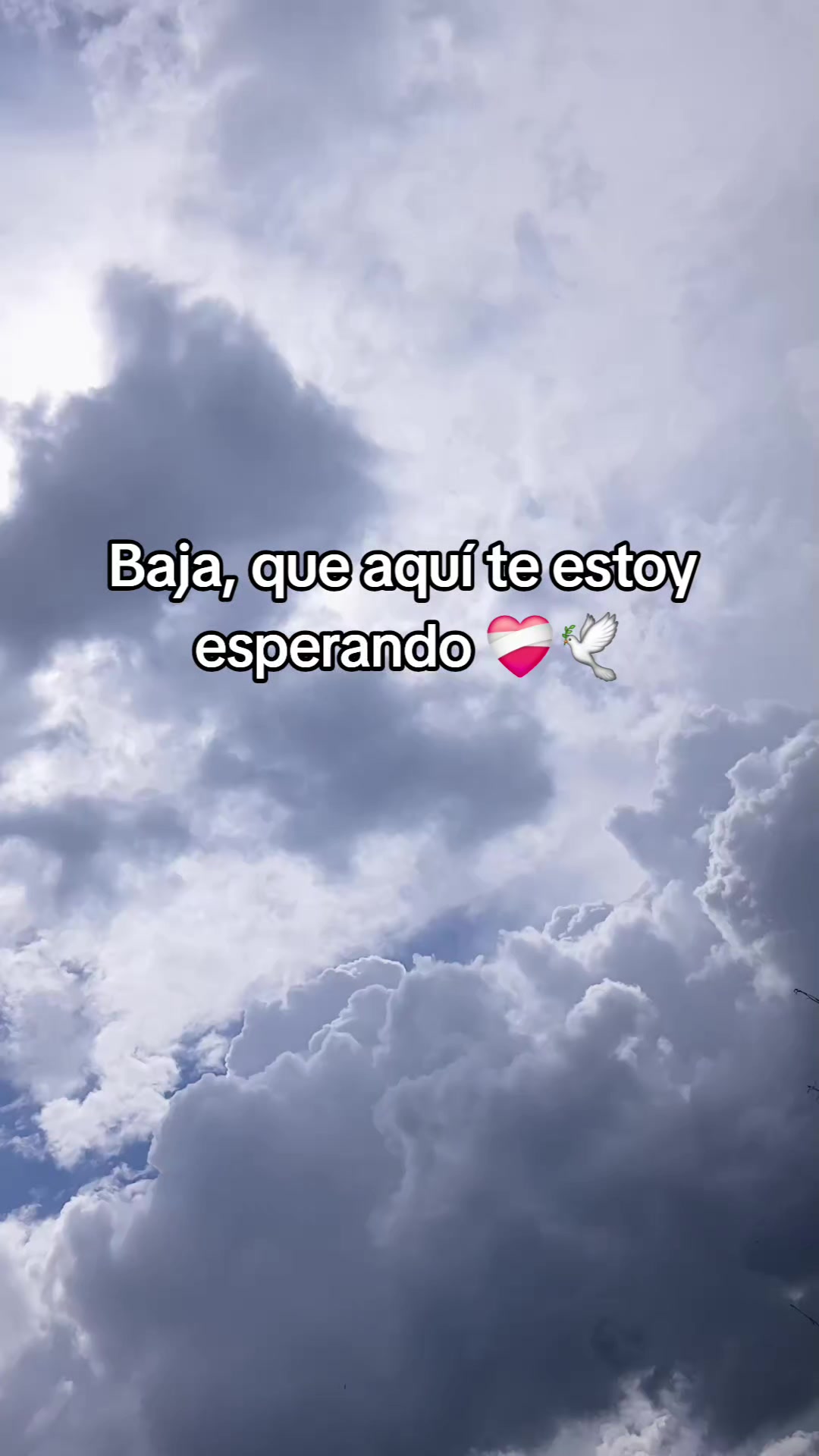 @🦋 Ramirezz 🦋
