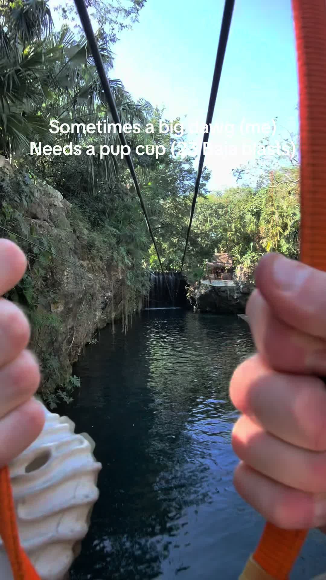 @Alex ⚰️