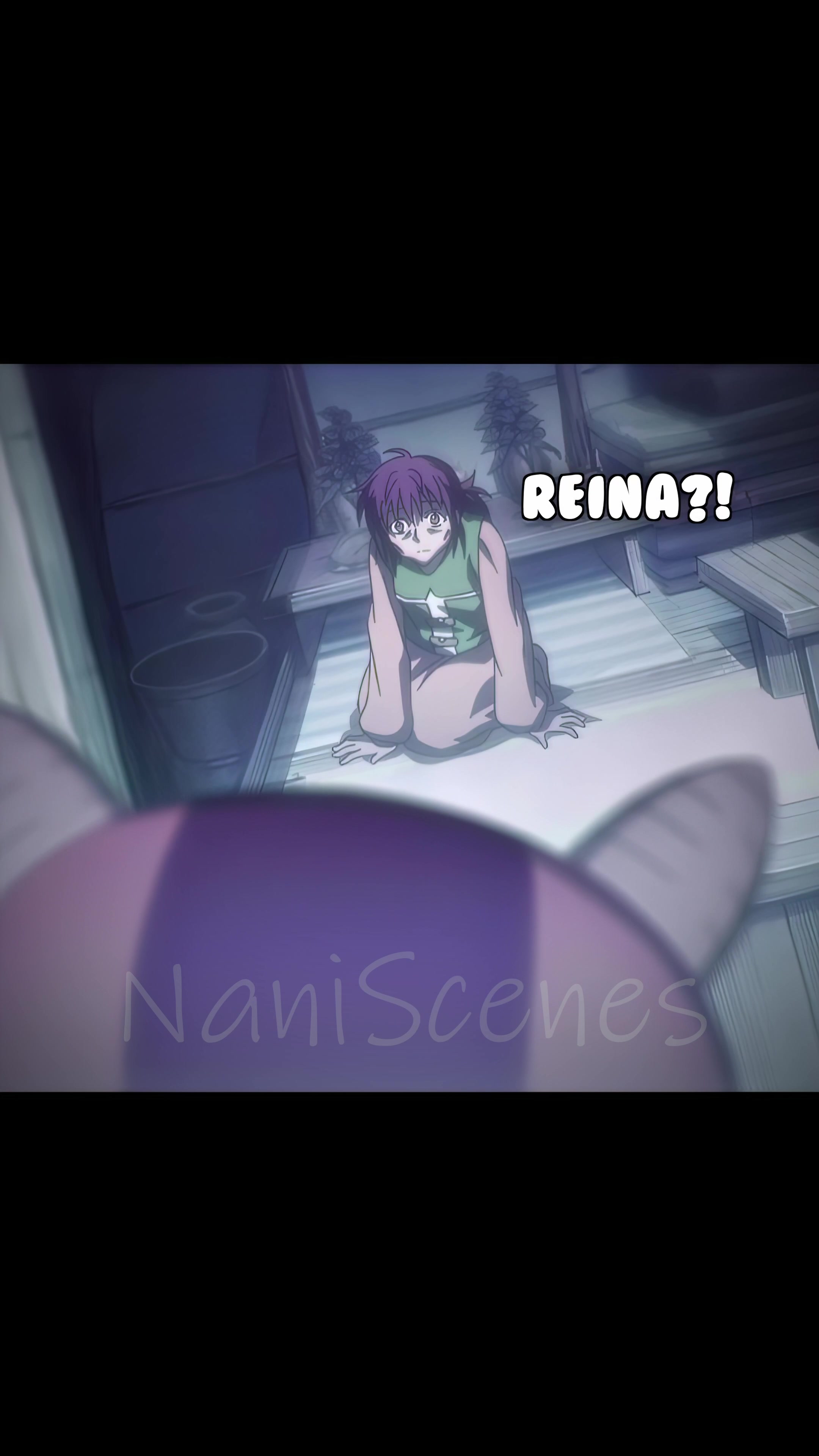 @NaniScenes