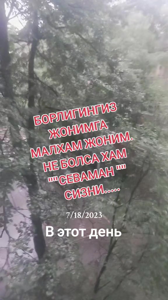 @shoira2281