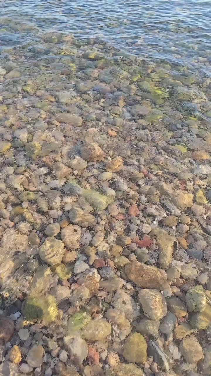 @Annamaria83🇷🇴🇮🇹🦂