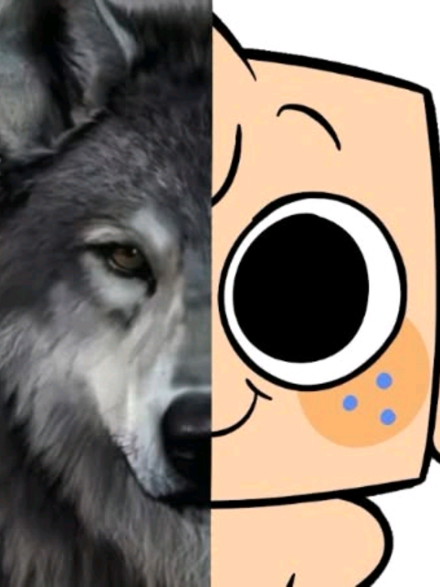 @❄️🌸𝔊𝔬𝔬𝔟/𝔅𝔞𝔩𝔬𝔲🧸🐾