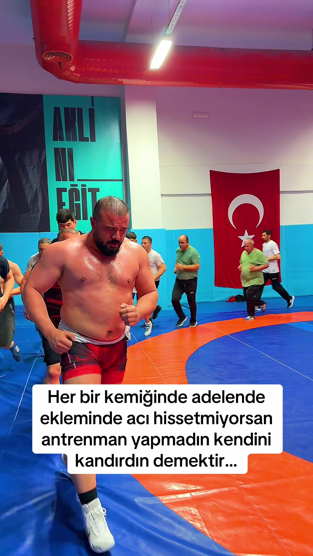 @SerhatSarı&ccedil;i&ccedil;ek