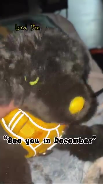 @Kaiden
