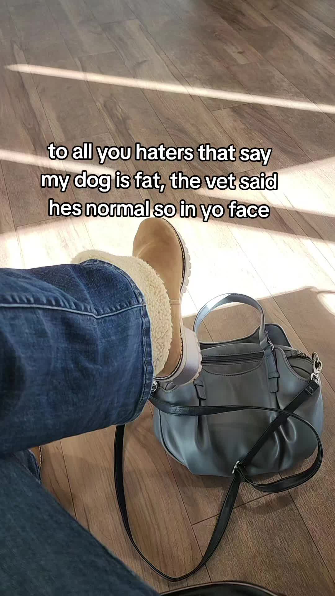 @mrpuddles