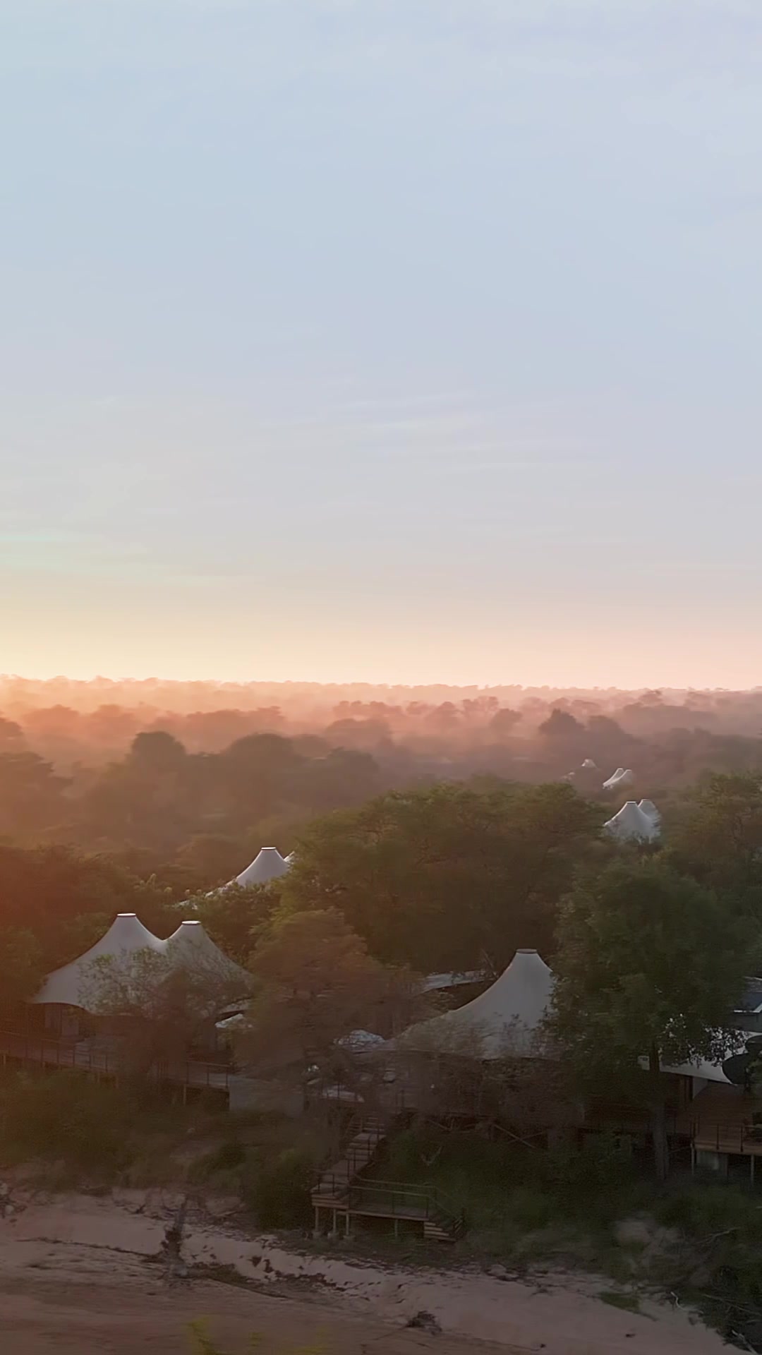 @Thornybush