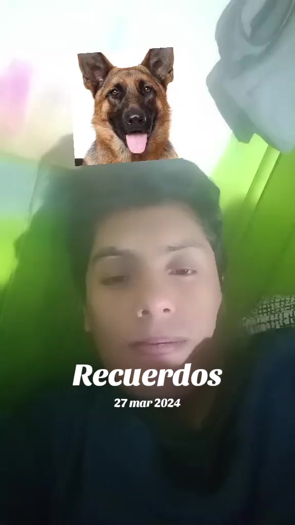 @Diego Sepulveda Caamaño