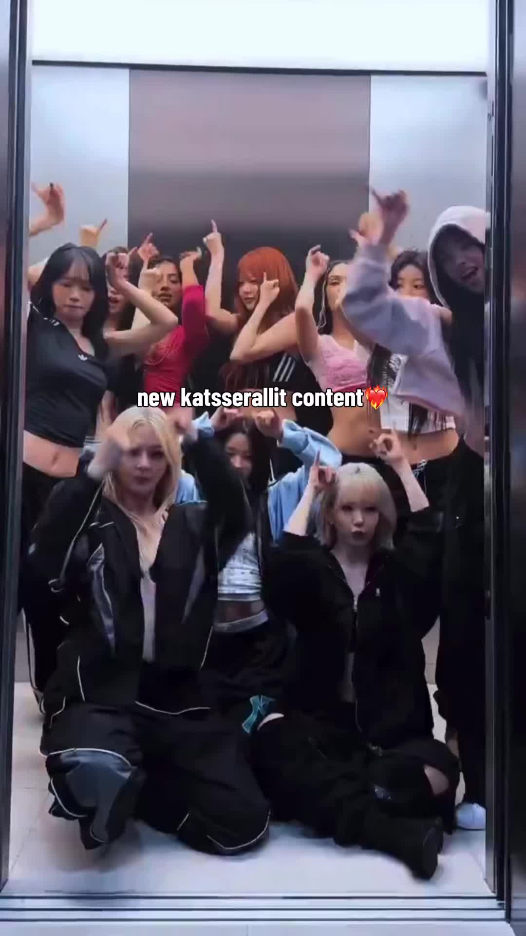 @🐯🐱🐍🦢🐈