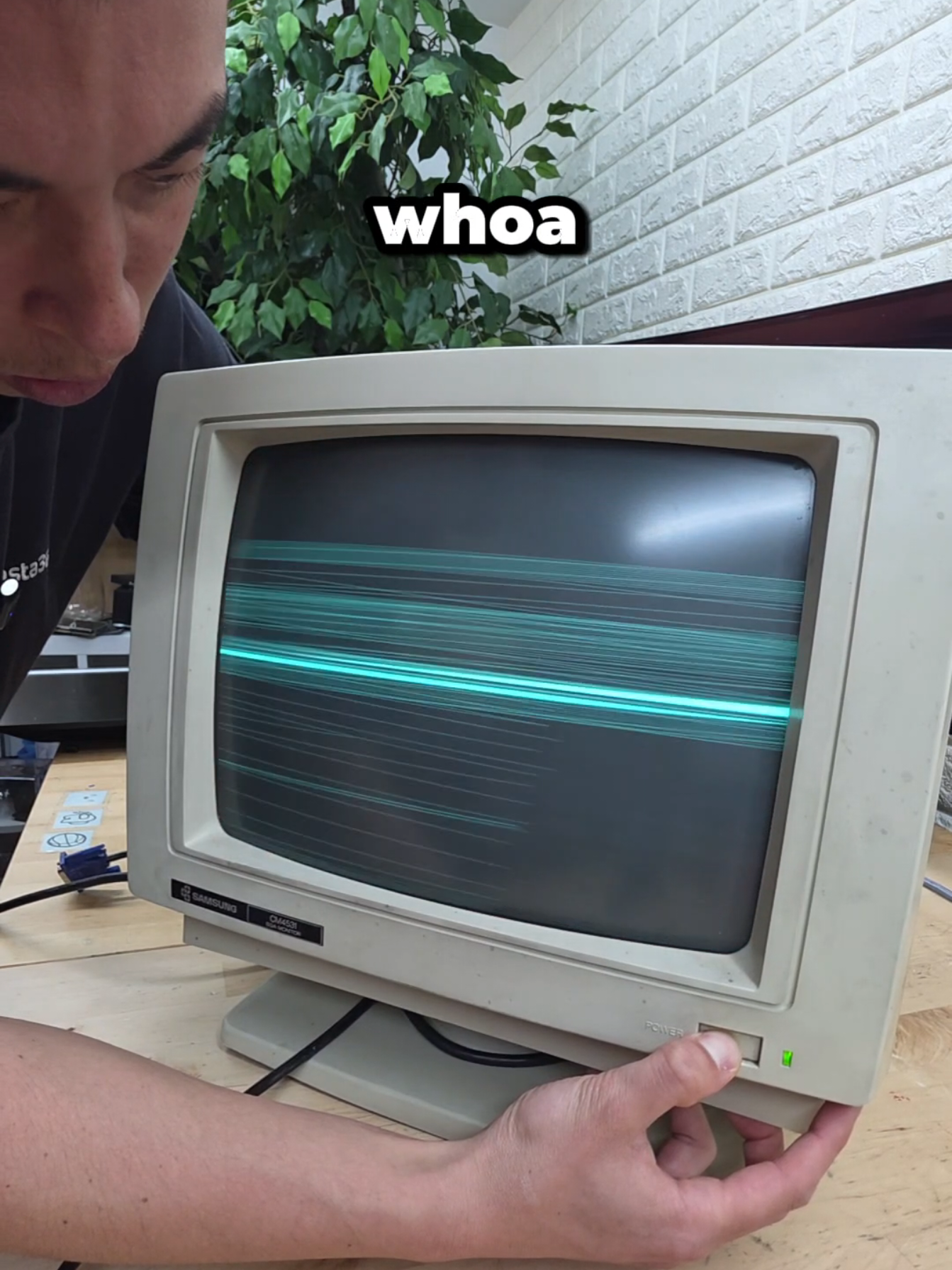 @mryeester