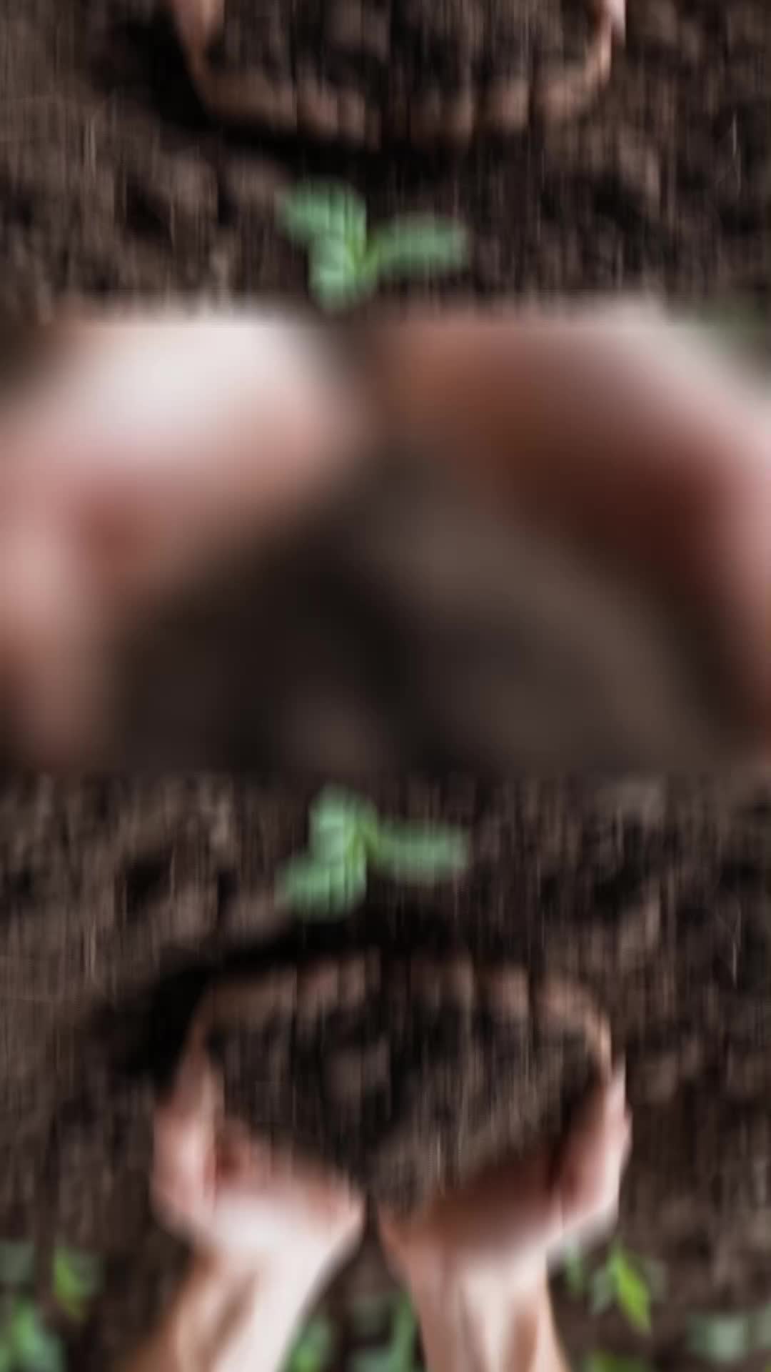 @micheal