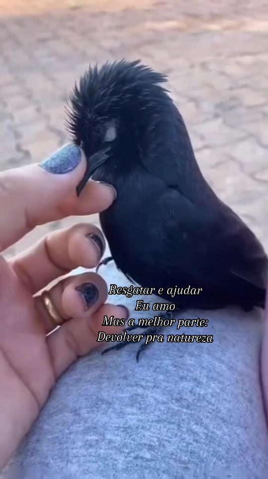@Lucia Branca de Neve