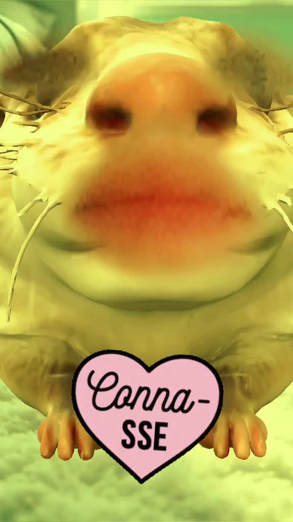 @Cathy