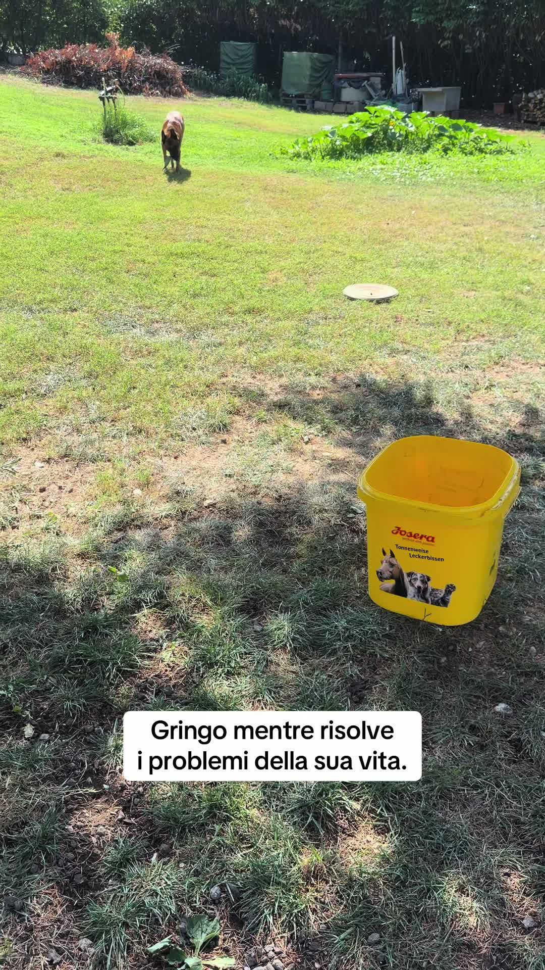 @Edopit94