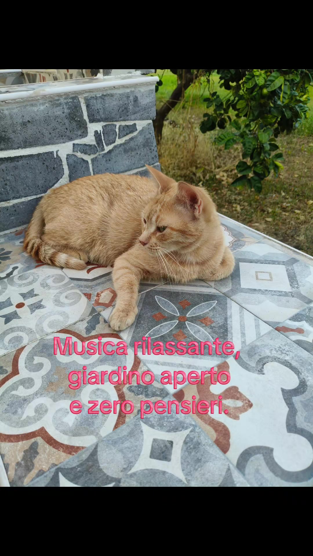 @grazy....1