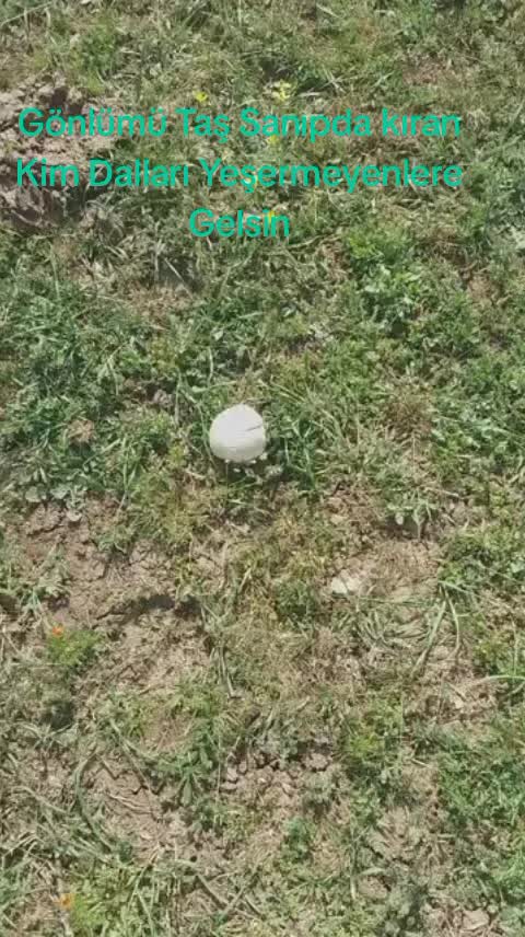 @ibrahim. 0666
