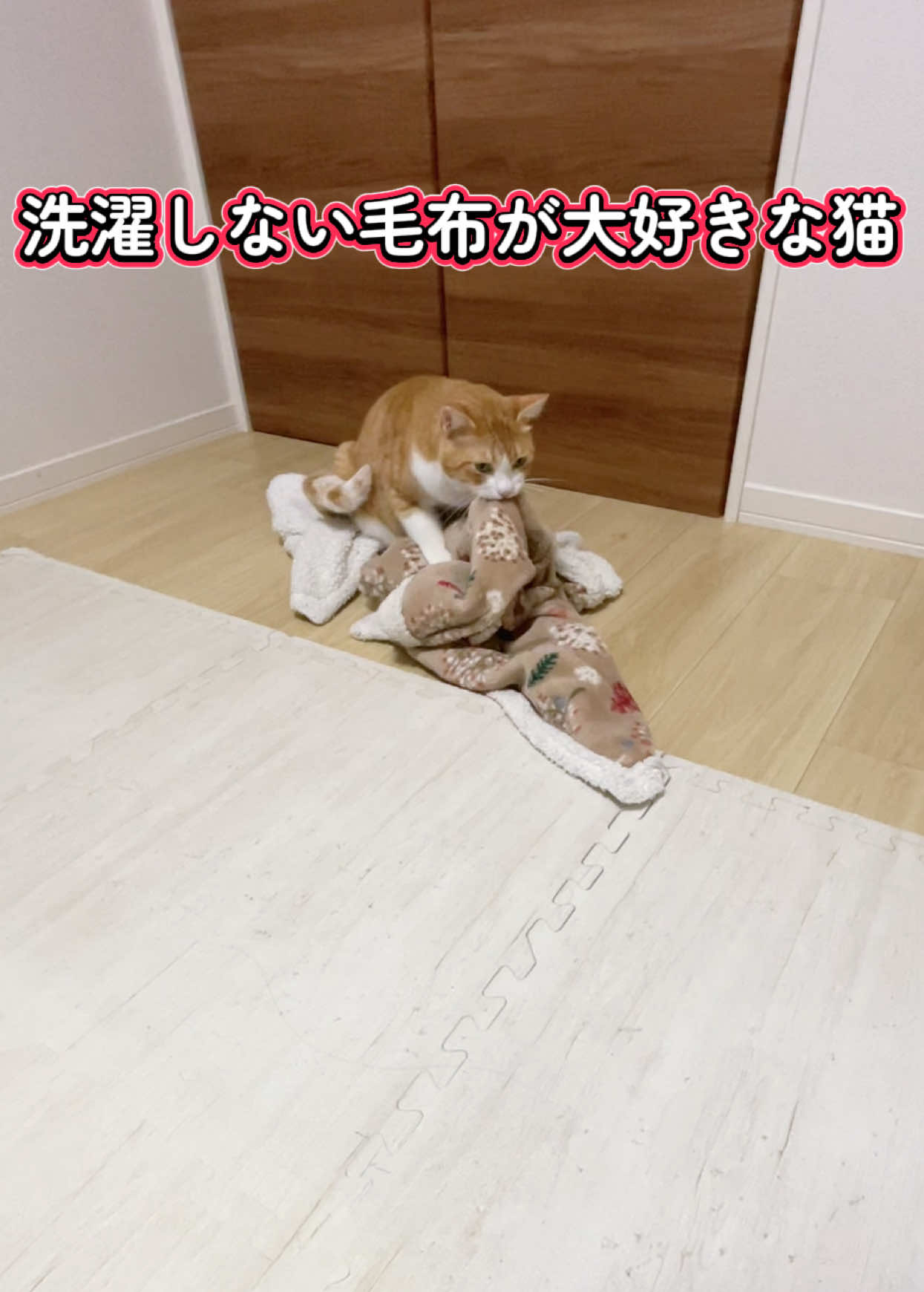 @みーこchannel