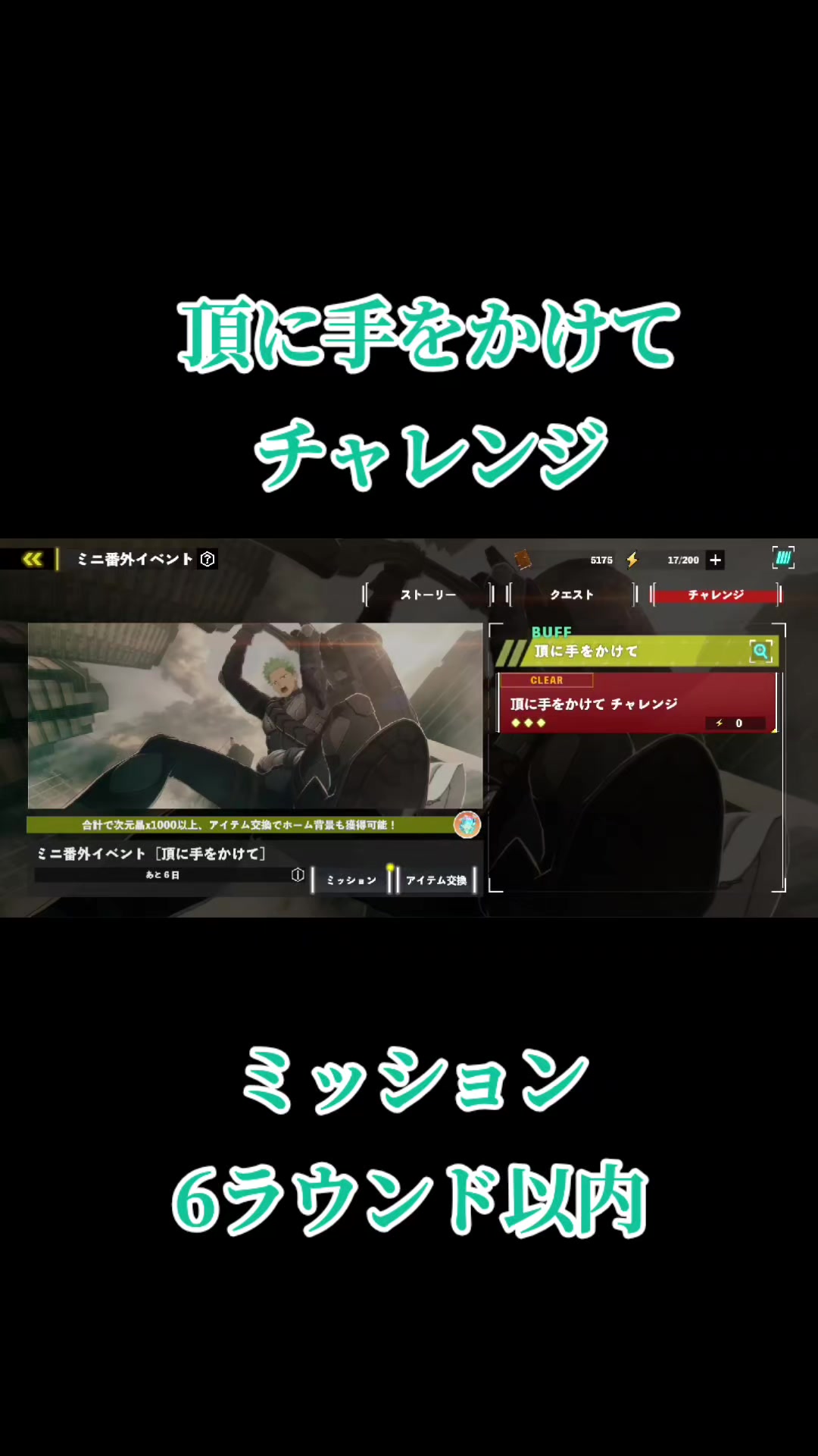 @猫