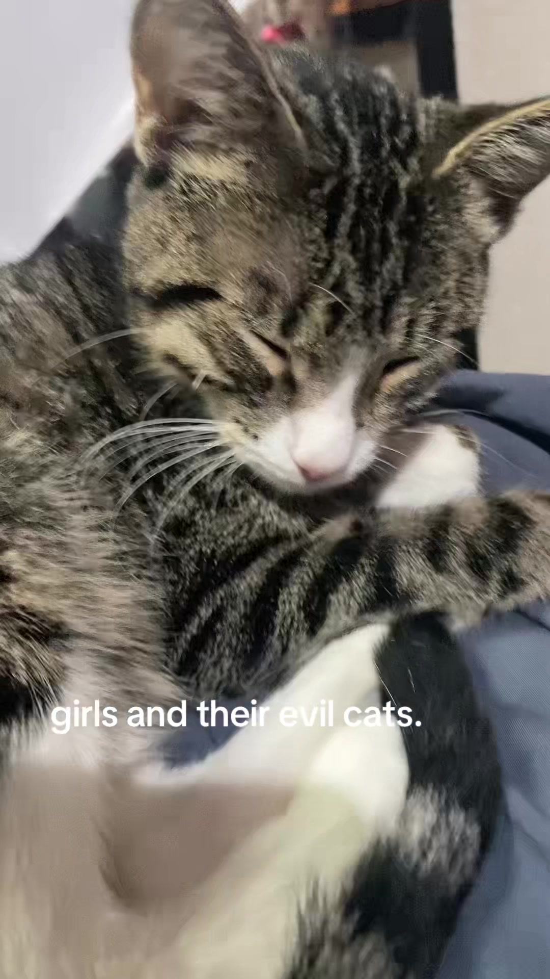 @Ky
