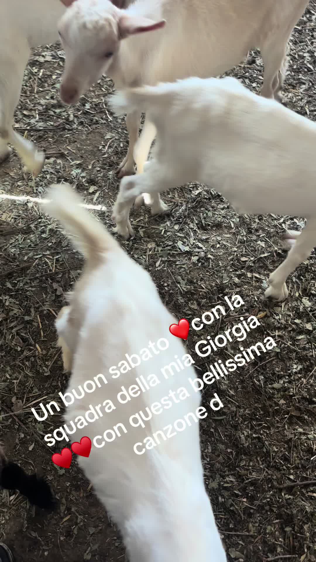 @B🌸N🌸Giovanna nigro