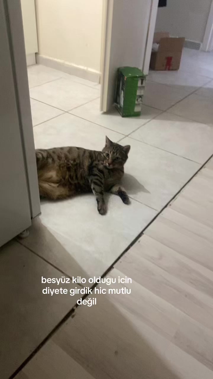 @fırıld@k